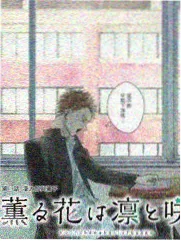 图鉴卡面：纸灯的手糊灯罩